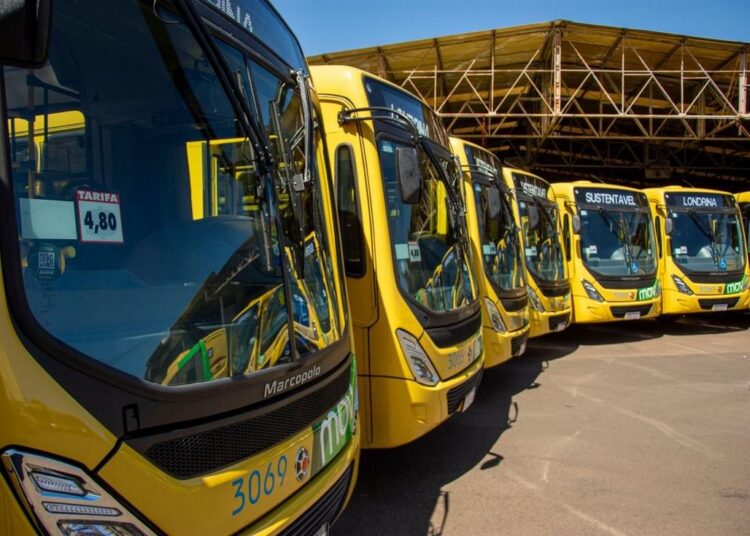 Ônibus urbanos em operação