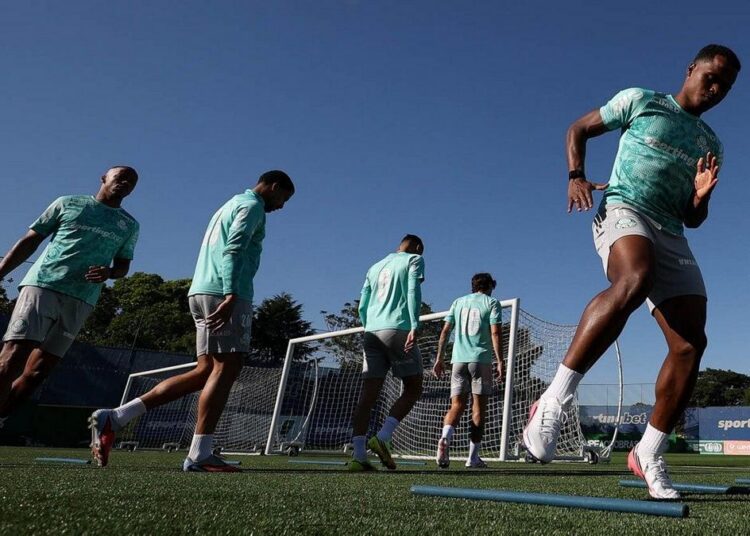 Treino do Palmeiras na Academia de Futebol