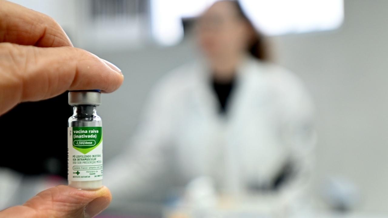 Veterinário iniciou tratamento antirrábico após arranhão pela gata infectada