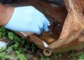 Evitar acúmulo de água em objetos para combater dengue em bairros com alto risco