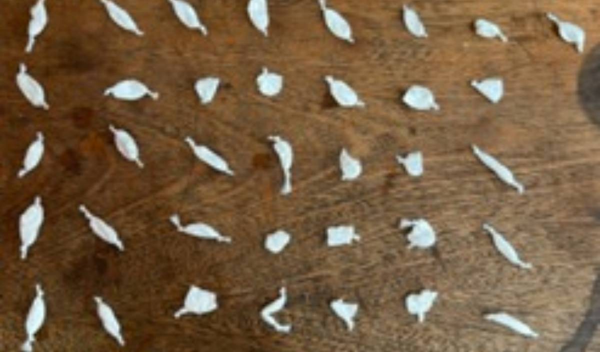 preso por tráfico de drogas