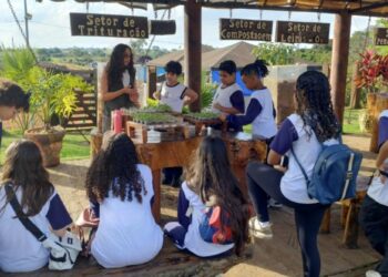 Alunos da rede municipal de Campinas durante visita à Usina Verde