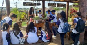 Projeto com alunos promove educação ambiental e sustentabilidade na Usina Verde