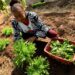Associações de trabalhadores e agricultores disputando vagas no conselho