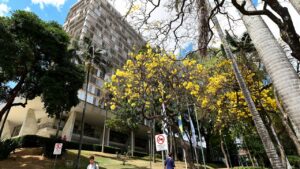 Primeiro fisioterapeuta com paralisia cerebral faz palestra em Campinas