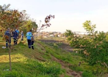 Mutirão de limpeza no Lago da Fé