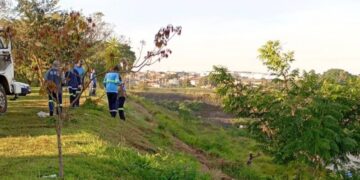 Mutirão de limpeza no Lago da Fé