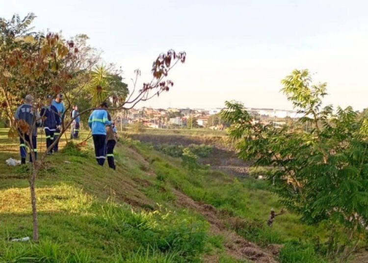Mutirão de limpeza no Lago da Fé
