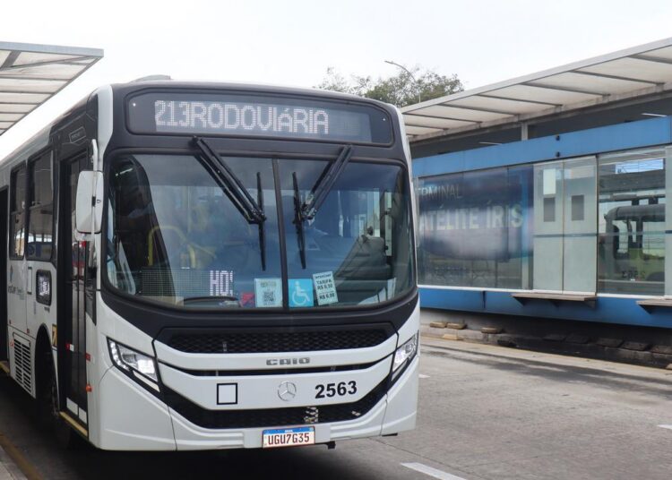 Linhas 213 e 219 com frota renovada atendendo Terminal BRT Satélite Íris