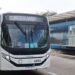 Linhas 213 e 219 com frota renovada atendendo Terminal BRT Satélite Íris