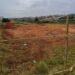 Nova pista de skate de Hortolândia
