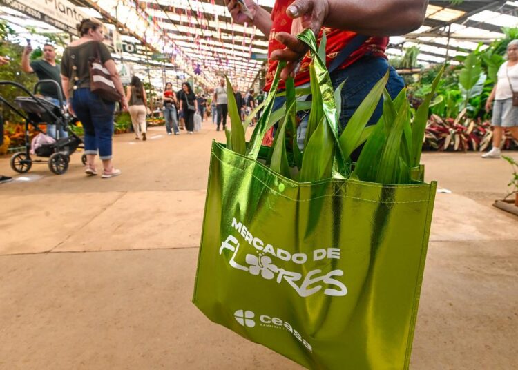 40% das plantas do Mercado de Flores são espécies de sombra