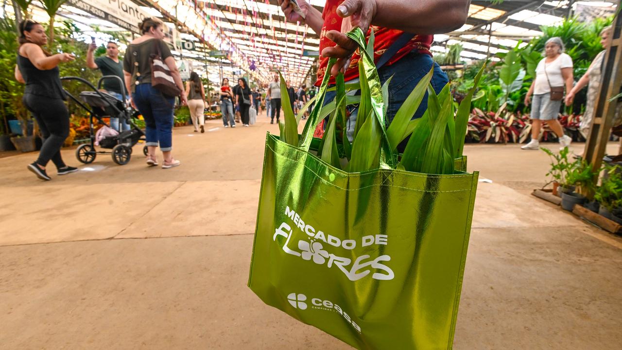 40% das plantas do Mercado de Flores são espécies de sombra