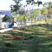 Mudas da flora brasileira plantadas em terminais com participação de reeducandos
