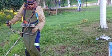 mutirão de limpeza e poda