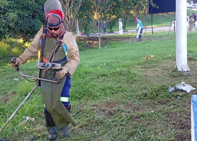 mutirão de limpeza e poda