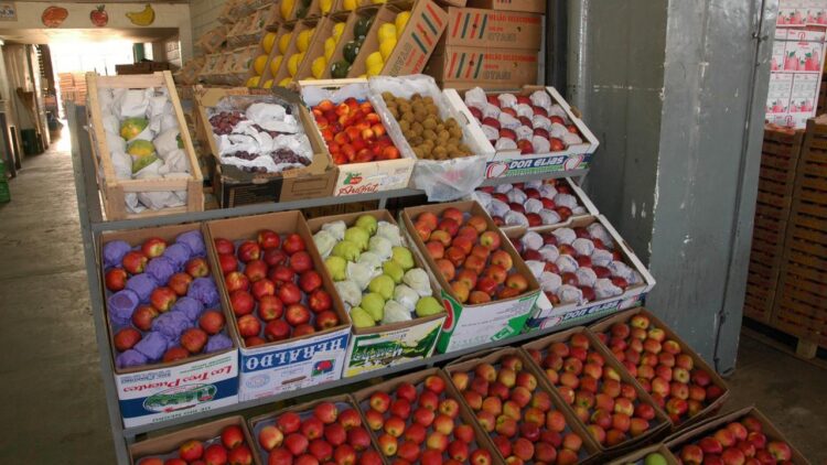 Maçã gala e tomate Débora extra com redução nos preços na Ceasa Campinas
