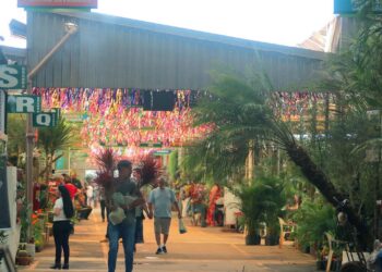 Roteiro inclui visita aos mercados centrais e tempo livre para compras durante evento Flores e Sabores