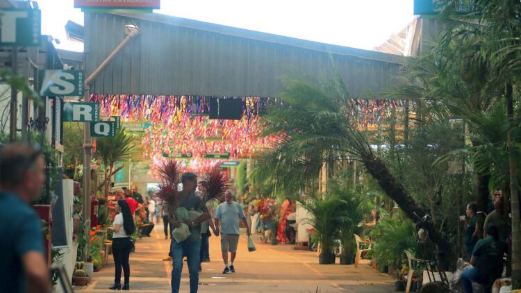 Roteiro inclui visita aos mercados centrais e tempo livre para compras durante evento Flores e Sabores