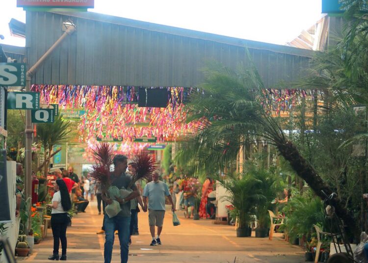 Roteiro inclui visita aos mercados centrais e tempo livre para compras durante evento Flores e Sabores