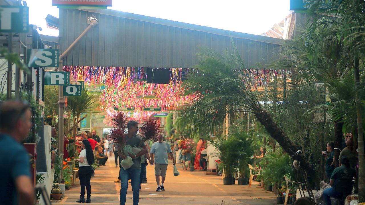 Roteiro inclui visita aos mercados centrais e tempo livre para compras durante evento Flores e Sabores