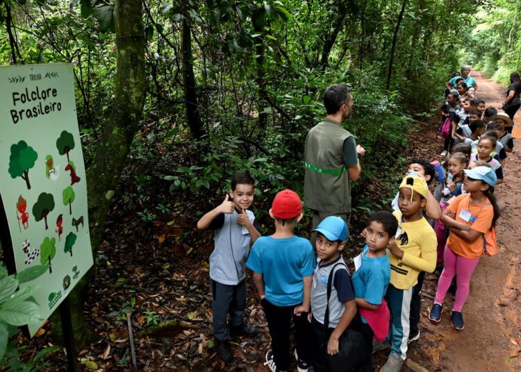 programação com apresentações educativas, caminhadas e visita ao meliponário na Mata de Santa Genebra