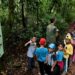 programação com apresentações educativas, caminhadas e visita ao meliponário na Mata de Santa Genebra