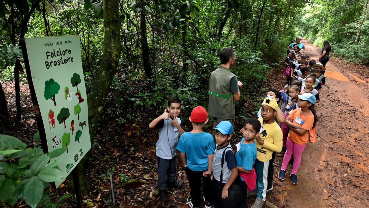 programação com apresentações educativas, caminhadas e visita ao meliponário na Mata de Santa Genebra