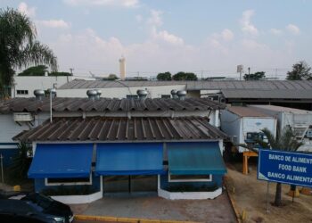 120 entidades atendem crianças e idosos em situação de vulnerabilidade com doações do Banco de Alimentos