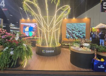 Estande da Ceasa Campinas com design inspirado em estrutura de árvore simbolizando cadeia de abastecimento