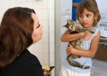 Esta edição terá 14 animais para adoção, oito cachorros e seis gatos; iniciativa visa estimular a adoção responsável de animais
