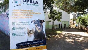 Segunda edição do DPBEA de Portas Abertas será em 22 de agosto