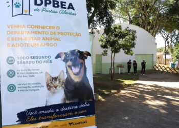 Evento é oportunidade para encontrar um amigo de quatro patas e, ainda, conhecer um pouco do trabalho desenvolvido pelo DPBEA