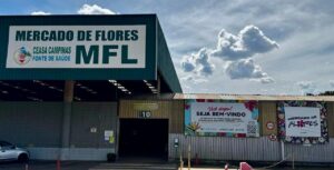 Mercado de Flores esgota vagas para Encontro de Jardineiros e Paisagistas