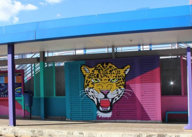 Revitalização da Estação BRS Elisiário com nova iluminação, grafitagem e manutenção estrutural