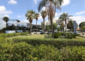 Brinquedos, food trucks e barraca de bebidas na festa