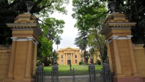 Queijos e bebidas artesanais brilham no Festival Sabor de São Paulo em Campinas