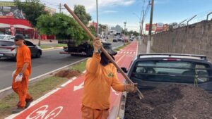 Avenida Santana recebe mais de 100 palmeiras em ação de paisagismo em Hortolândia