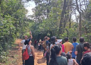 Maior fragmento de floresta da Região Metropolitana de Campinas com diversidade de fauna e flora; participantes nas trilhas do Jatobá e do Borboletário