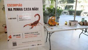 Saúde de Campinas lança painel com dados de acidentes por animais peçonhentos