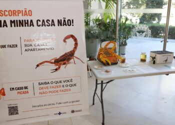 Ação educativa no Paço Municipal durante Semana de Enfrentamento do Escorpionismo