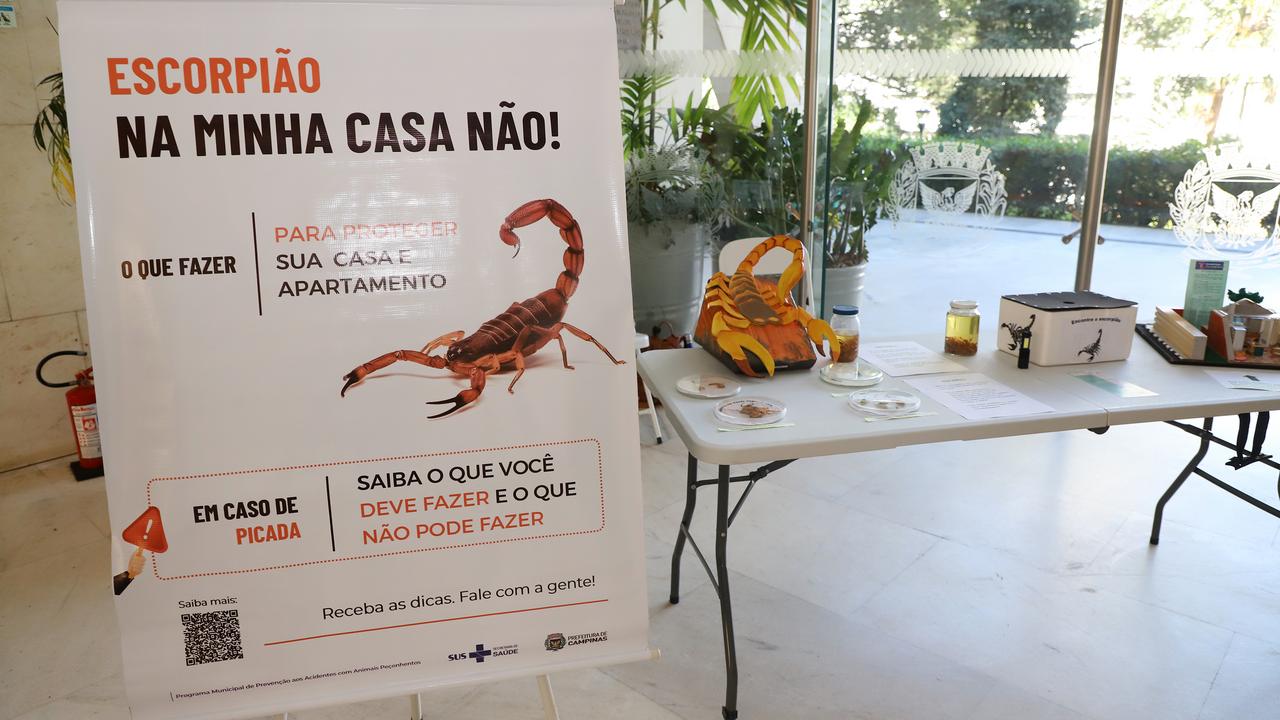 Ação educativa no Paço Municipal durante Semana de Enfrentamento do Escorpionismo