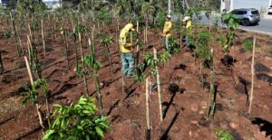 Campinas intensifica ações para prevenção e combate aos extremos climáticos