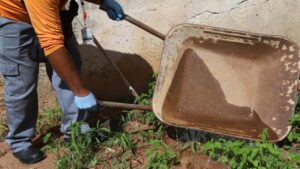Campinas tem 26 bairros em alerta para alta transmissão de dengue