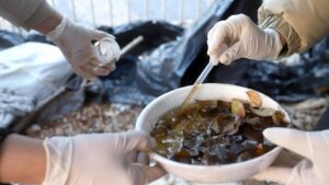 Saúde divulga 33º alerta com 36 bairros de Campinas em alto risco de dengue
