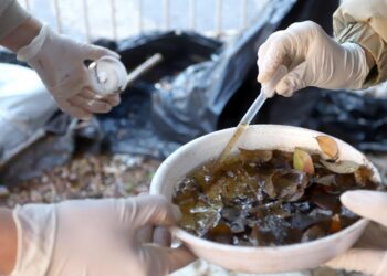 Documento com alerta de 36 bairros em alto risco de transmissão de dengue em Campinas