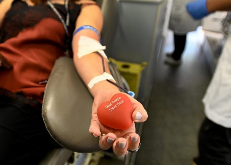 Doação de sangue no Paço Municipal com servidores participando