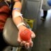 Doação de sangue no Paço Municipal com servidores participando