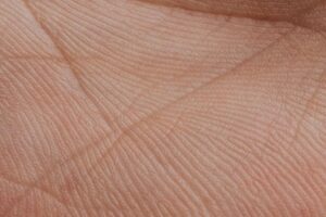 Nova tecnologia de biometria promete revolucionar o transporte público