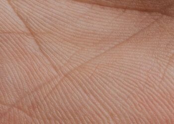 Imagem do conceito de biometria palmar